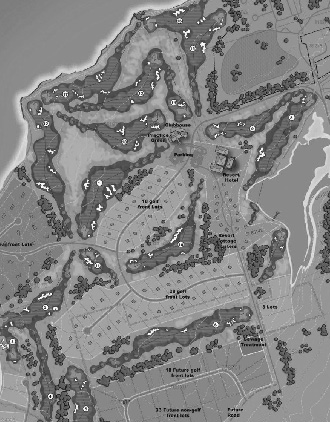 Real Estate Map Design